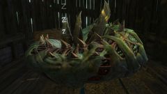 Gargantuan Grub (sleeping).jpg