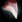 Large Fang.png