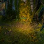 Lighting Echovald location 52.jpeg