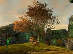 Secluded Glen.jpg