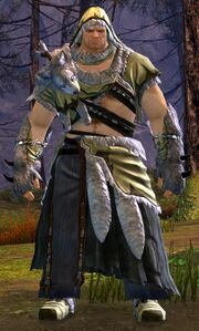 Shaman Vigmarr.jpg