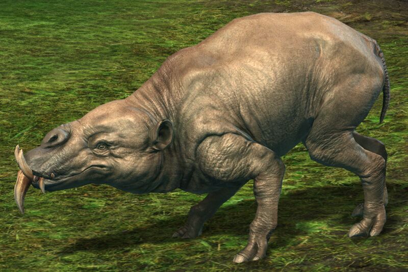 File:Siamoth.jpg