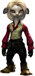 Silk Brocade Outfit