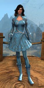 Appearance on light armor.