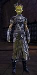 Sylvari male