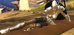 Wounded Lionguard.jpg