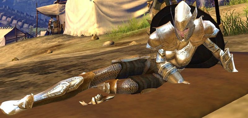 File:Wounded Lionguard.jpg
