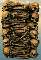 Awakened Bone Column side.jpg