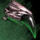 Barb.png