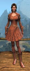 Appearance on light armor.