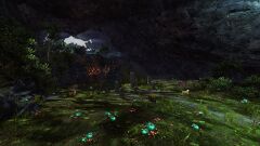 Mountainroot Lair.jpg
