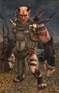 Ogre Chieftain (female weaponless).jpg