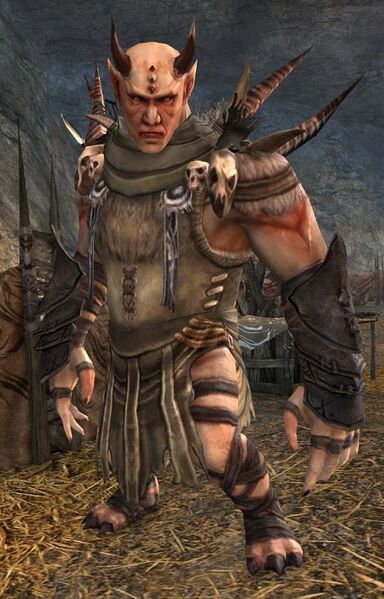 File:Ogre Chieftain (female weaponless).jpg