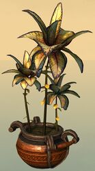 Potted Reaching Blue Fern.jpg