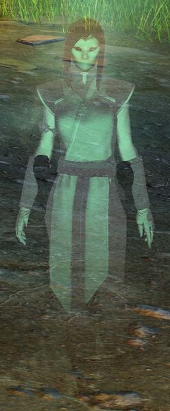 File:Purist Assassin Spirit (female).jpg