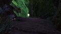 First Orb