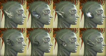 Sylvari male ears.jpg