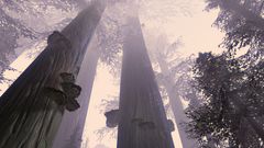 The Titan Tree.jpg