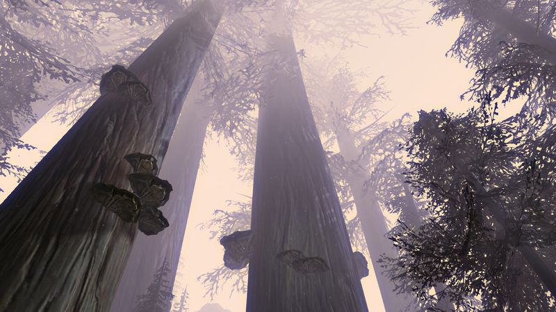 File:The Titan Tree.jpg