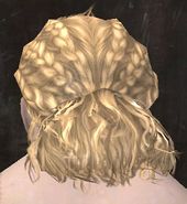 Unique norn male hair back 11.jpg