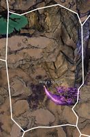 Wing's Shadow map.jpg