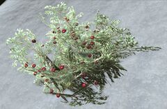 Winterberry Bush.jpg