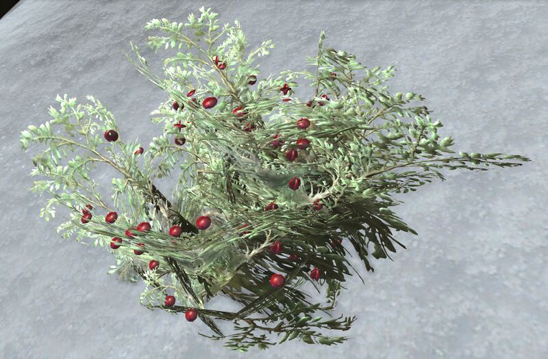 File:Winterberry Bush.jpg