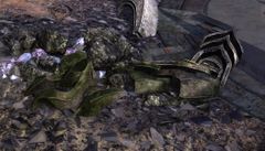 Armored Tail Segment.jpg