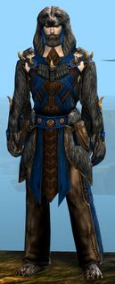 Bear Ceremonial armor human male front.jpg