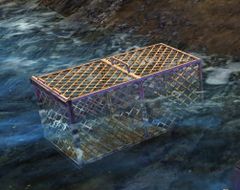 Crawfish Trap.jpg