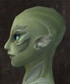 Exclusive face - sylvari female 2 side.jpg