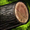 Hard Wood Log.png