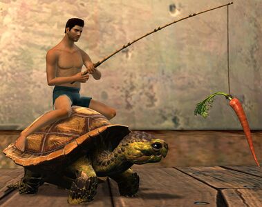 Meandering Tortoise Chair human male.jpg