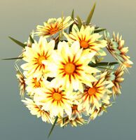 Pot of Chrysanthemums top.jpg