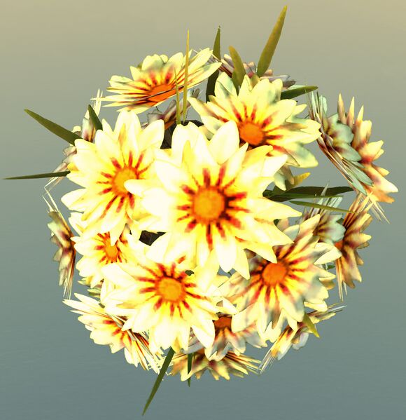 File:Pot of Chrysanthemums top.jpg