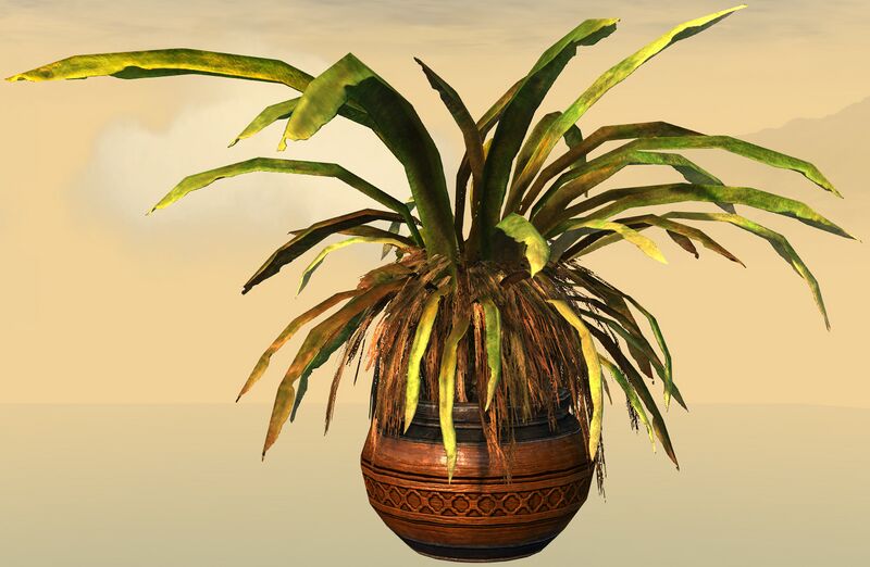 File:Potted Jungle Grass side.jpg