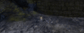 Thumbnail for version as of 08:12, 11 October 2020