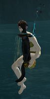 Riding Broom Glider front.jpg
