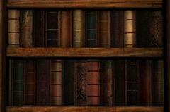 Shelved Book 2.jpg