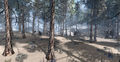Thumbnail for version as of 17:25, 15 November 2014
