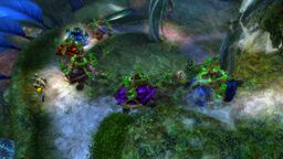 User-FoF turtle-parades 2022 8.jpg
