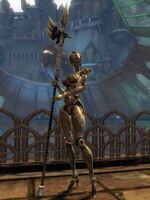 Watchknight (historical).jpg