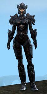 Appearance on heavy armor.