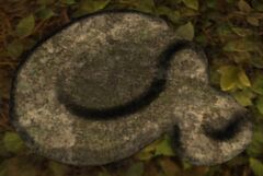 Animal Tracks.jpg