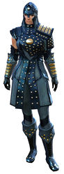 Ascalonian Sentry armor norn female front.jpg