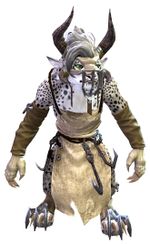 Cook's Outfit