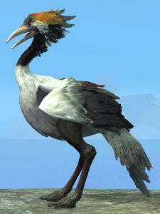Crane.jpg