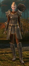 Ebon Vanguard Warrior F1 (hammer).jpg