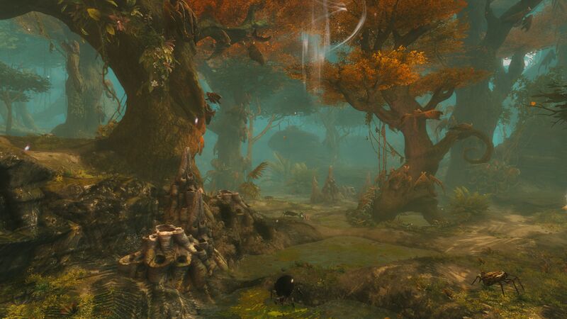 File:Infested Thicket.jpg