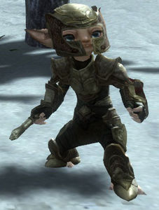 Lionguard Jayx.jpg